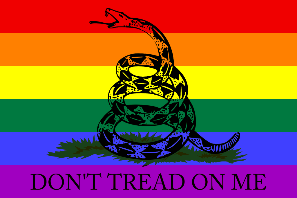 rattlensake flag with rainbow/gay flag background